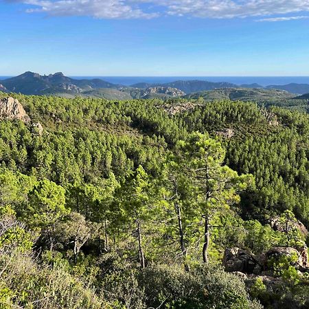 Villa Ormarine, Vue Exceptionnelle Sur La Baie De Cannes Et Le Mercantour Лез-Адре-де-л'Естерель Екстер'єр фото
