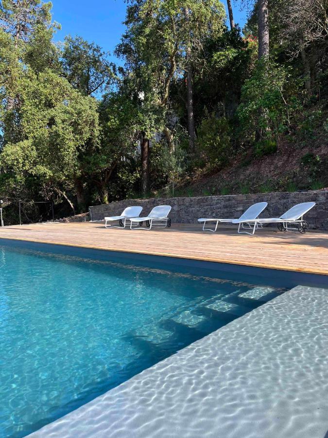 Villa Ormarine, Vue Exceptionnelle Sur La Baie De Cannes Et Le Mercantour Лез-Адре-де-л'Естерель Екстер'єр фото