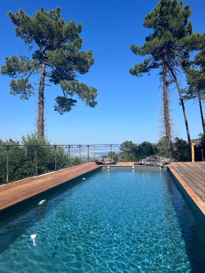 Villa Ormarine, Vue Exceptionnelle Sur La Baie De Cannes Et Le Mercantour Лез-Адре-де-л'Естерель Екстер'єр фото