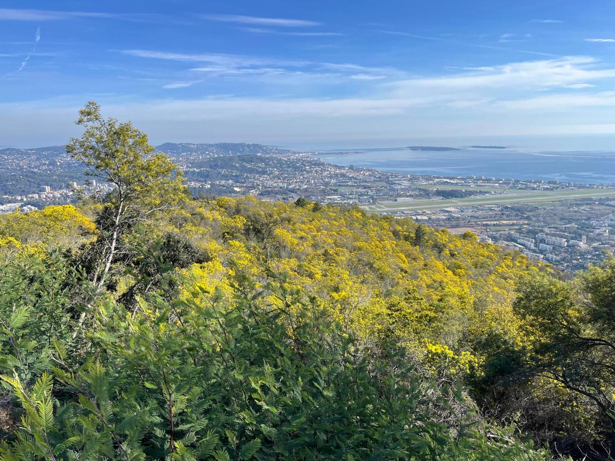 Villa Ormarine, Vue Exceptionnelle Sur La Baie De Cannes Et Le Mercantour Лез-Адре-де-л'Естерель Екстер'єр фото