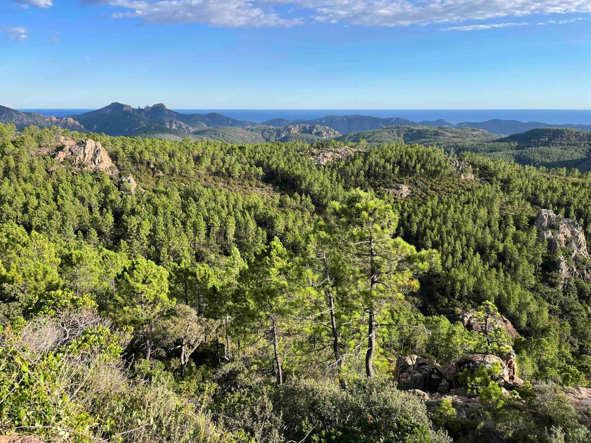Villa Ormarine, Vue Exceptionnelle Sur La Baie De Cannes Et Le Mercantour Лез-Адре-де-л'Естерель Екстер'єр фото